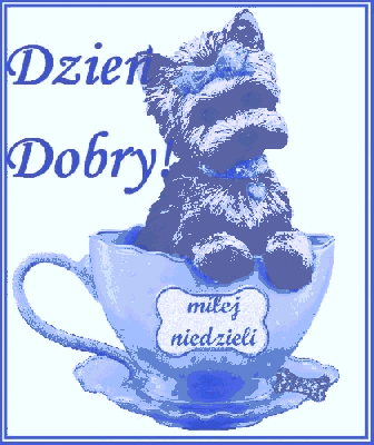 Piesek w niebieskiej filiżance niedziela